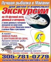 Туры и экскурсии,  аренда транспорта,  услуги переводчиков в Майами (США