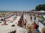 Недорогой отдых на Черном море.   Коблево. База отдыха «Росинка»  