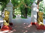 Профильное комплексное лечение и профилактика заболеваний у детей