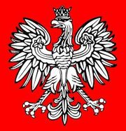 Визовая поддержка....