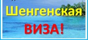 Оформляем визы,  для детей скидка 50%.