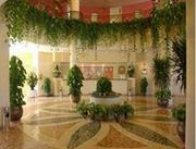 Горящий тур. Египет / Шарм-Эль-Шейх,  Mercure Luna Sharm El 3*