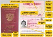 загранпаспорт тольятти
